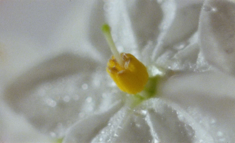 Composé pour la vie