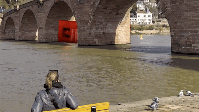 Fake out of Heidelberg