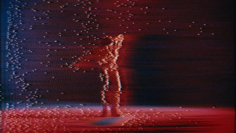 PIYA - Tiger