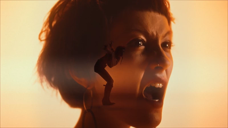 PIYA - Tiger