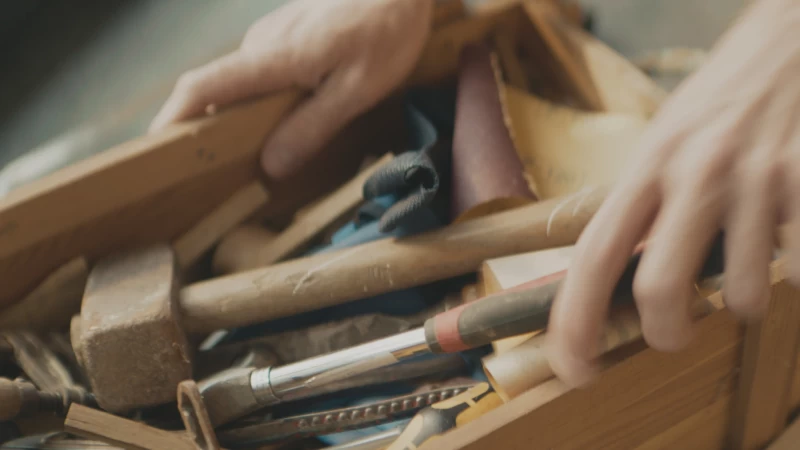 LASS DIE KUH IM DORF.