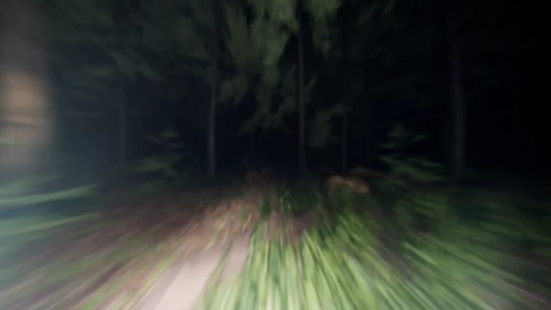 Way of light